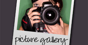 Landlord Guide On Professional Property Photography Landlord Guide On Professional Property Photography
