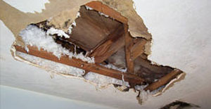 Tenant Completely Trashes Property Tenant Completely Trashes Property