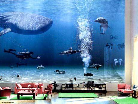 bill gates house aquarium