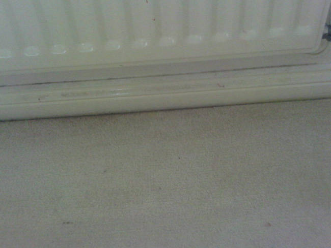 Dirty Carpet