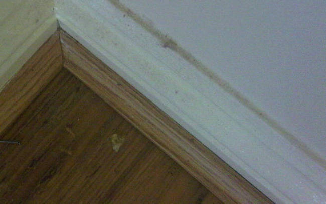 Dusty Floor