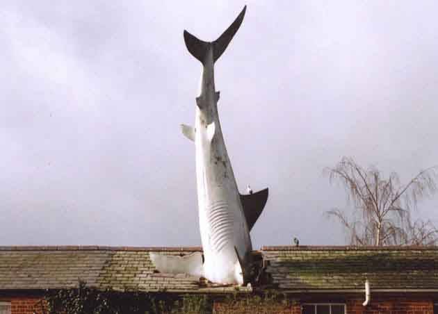Shark In Roof, The Headington Shark
