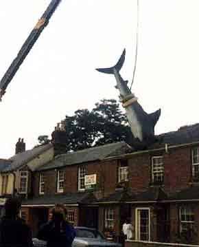 Crane support: Shark In Roof, The Headington Shark