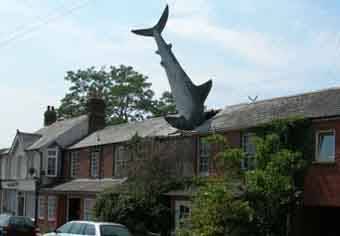 Side shot 2: Shark In Roof, The Headington Shark