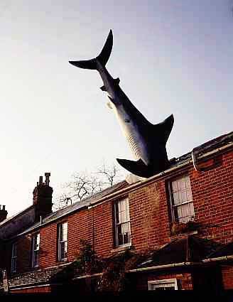 Side shot 3: Shark In Roof, The Headington Shark