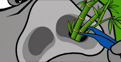 Bamboo Crisis