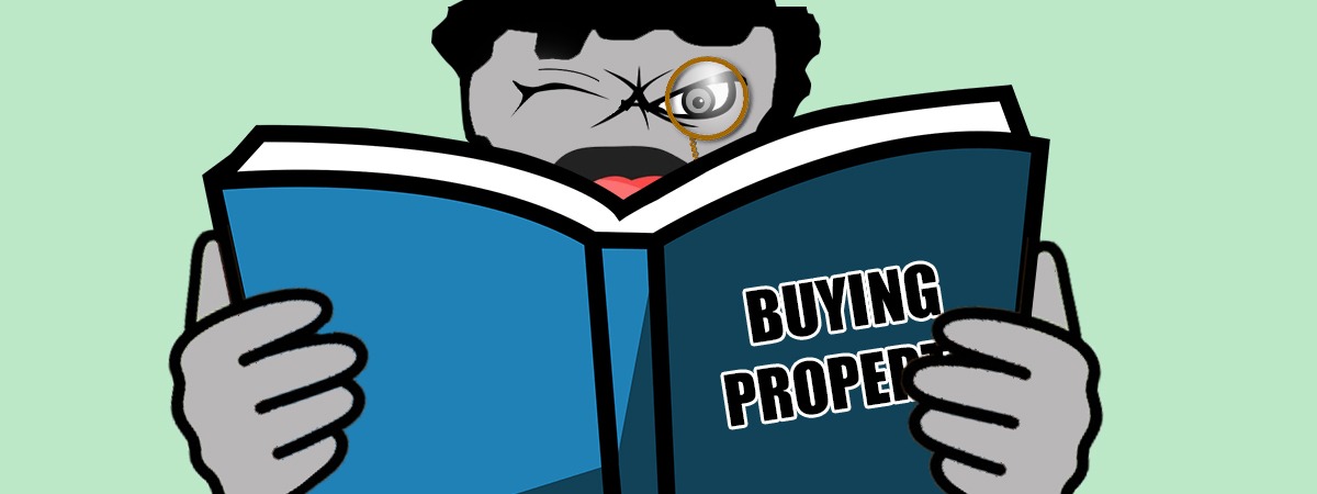 Buying Property Book