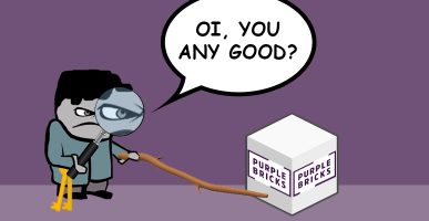 My Thoughts On Purplebricks – Read It If You Want