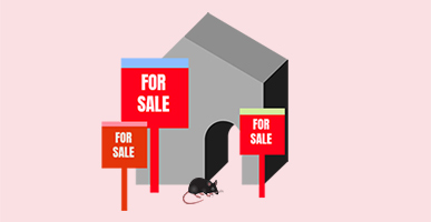 Is This The Best Way To Sell An Empty Property? Probably!