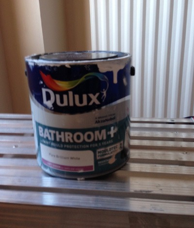 Anti-mould paint